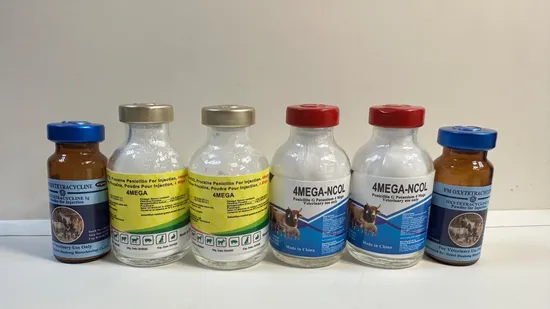 GMP 인증 옥시테트라사이클린 주사제 분말 1g