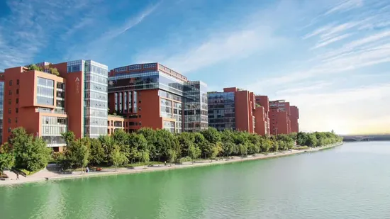 수의학 50% 독시사이클린 HCl 수용성 분말 동물 약물