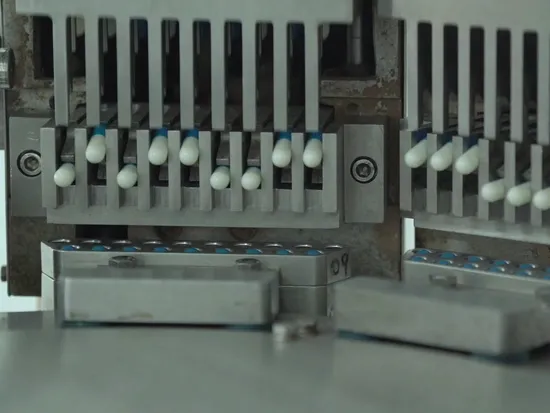 OEM Purity Natural Probiotics Community 장내 조절 면역 에너지 캡슐 고품질 Probiotics