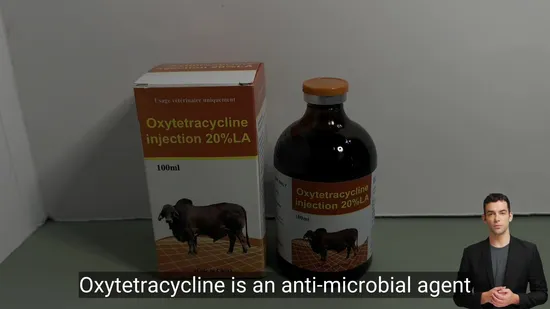 1g Streptomycin Sulphate Injection Powder GMP Factory 