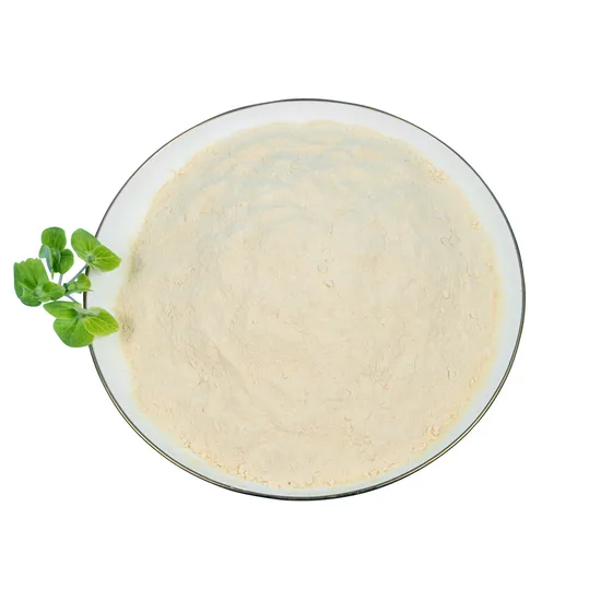 내열성 포자 프로바이오틱 바실러스 코아굴란스 식품 적용 성분 원료