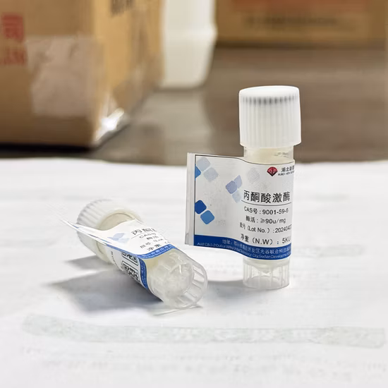 피루브산 키나아제 효소 제제 체외진단시약 고품질 원료